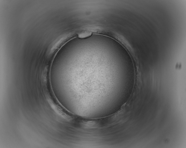 X0000112510058200908241430