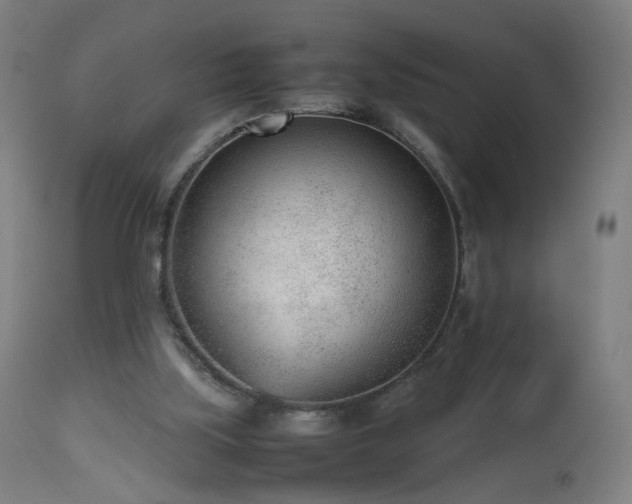 X0000112510059200908241430