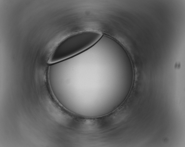 X0000112510060200908241430