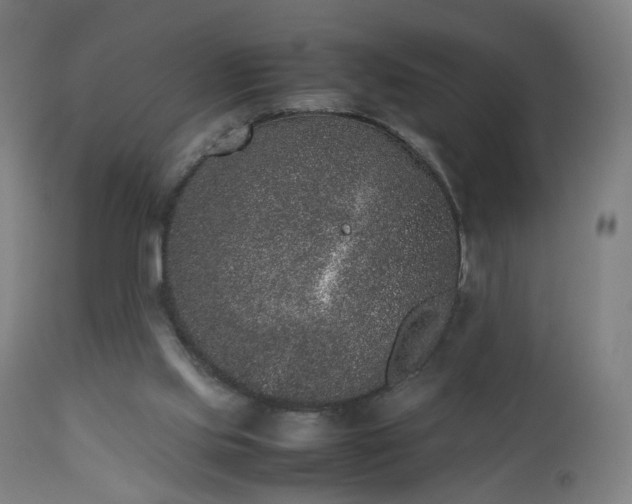 X0000112510061200908241430