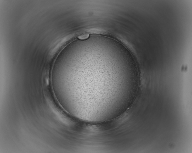 X0000112510062200908241430