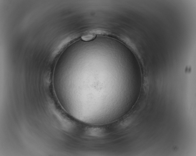 X0000112510063200908241430