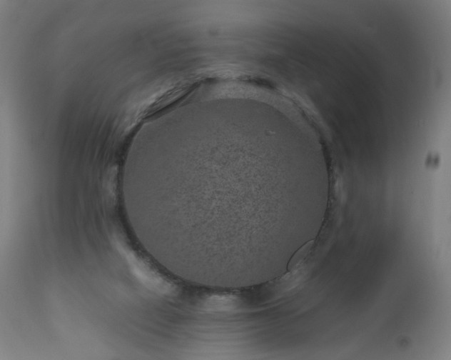 X0000112510066200908241430