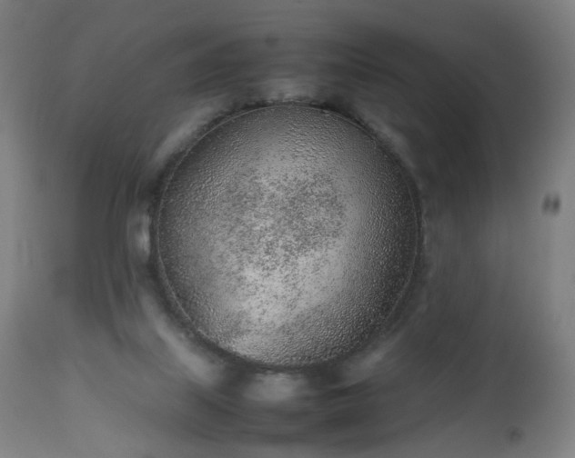 X0000112510067200908241430