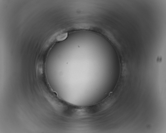 X0000112510068200908241430