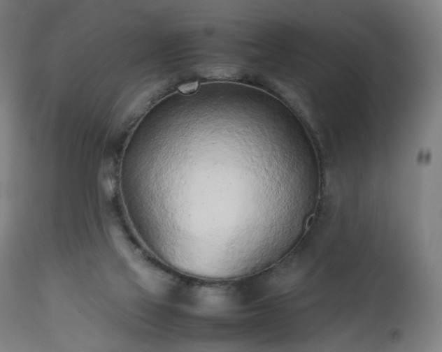 X0000112510069200908241430