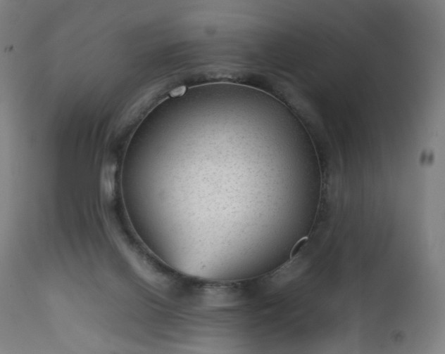 X0000112510070200908241430