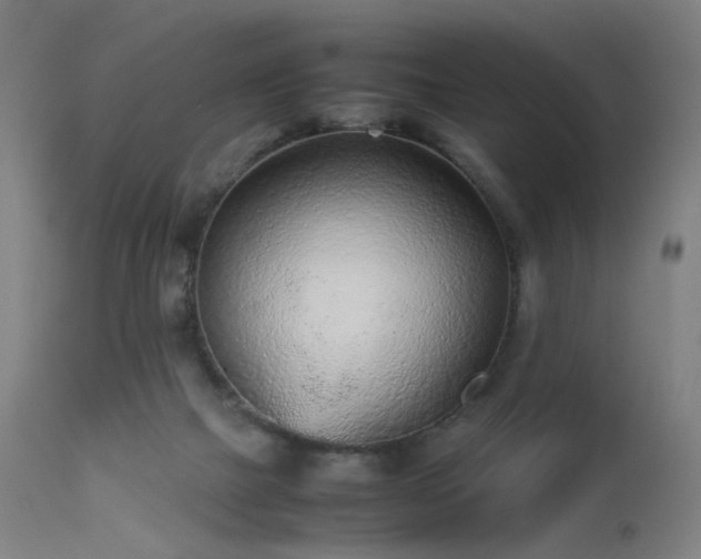 X0000112510073200908241430