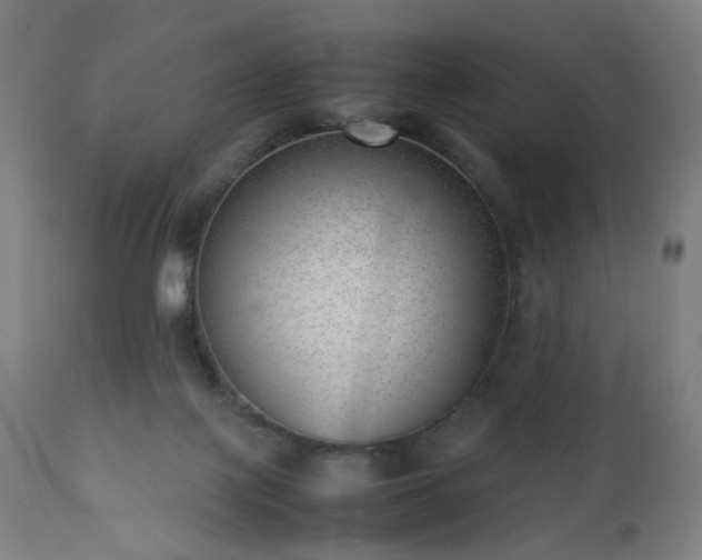 X0000112510075200908241430