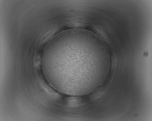 X0000112510077200908241430