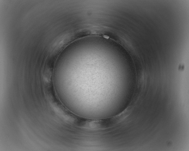 X0000112510078200908241430