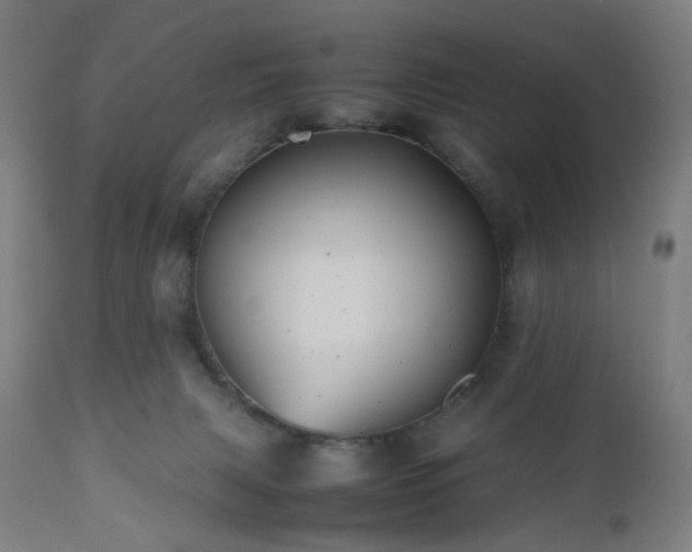 X0000112510079200908241430