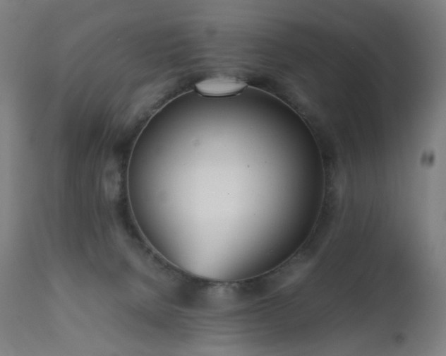 X0000112510080200908241430