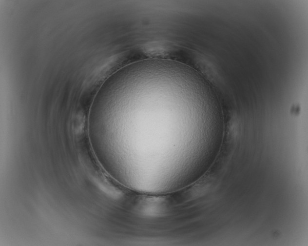 X0000112510081200908241430