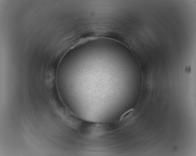 X0000112510082200908241430