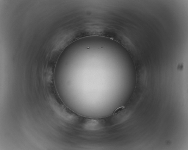 X0000112510083200908241430