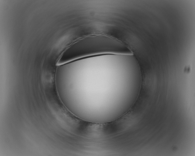 X0000112510084200908241430