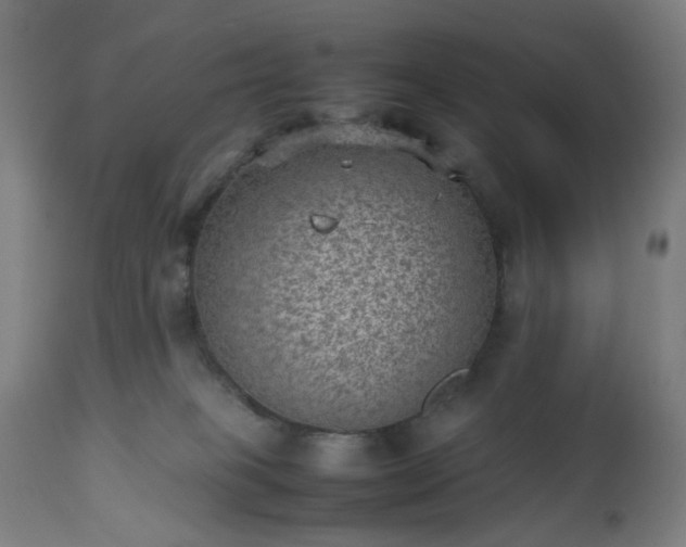 X0000112510085200908241430