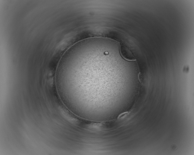 X0000112510086200908241430