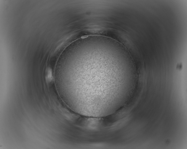 X0000112510089200908241430