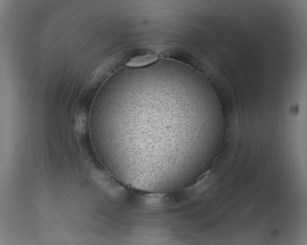 X0000112510090200908241430