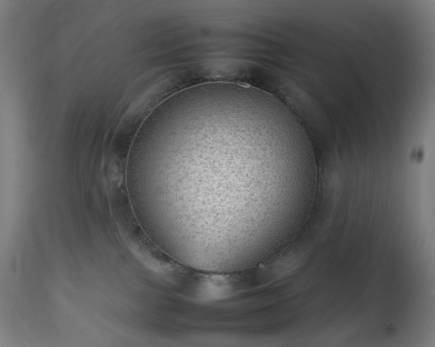 X0000112510091200908241430