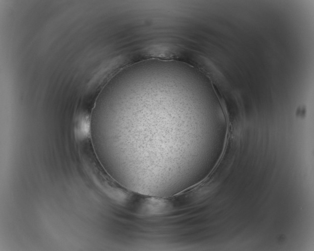 X0000112510095200908241430