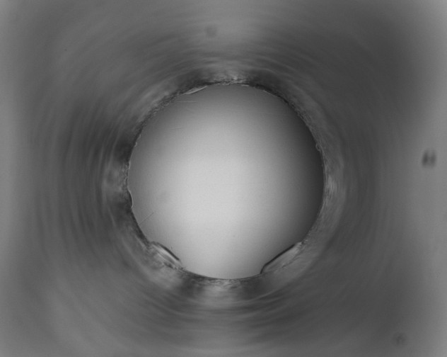 X0000112510096200908241430