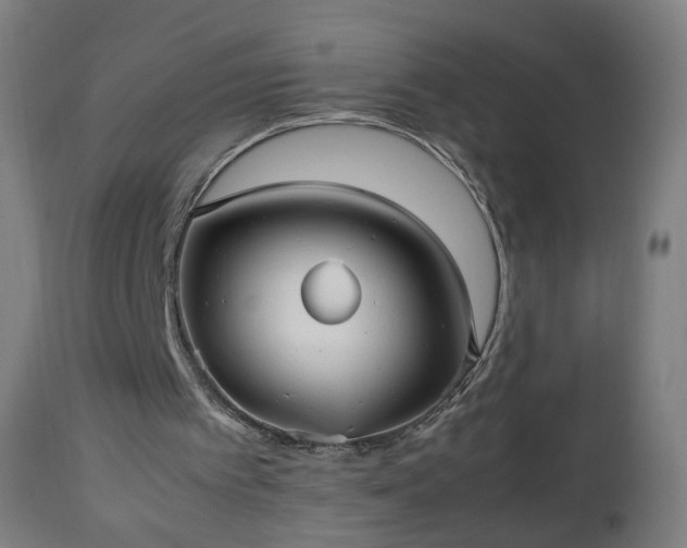 X0000112510097200908241430