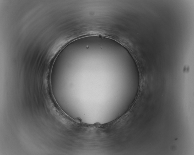 X0000112510098200908241430