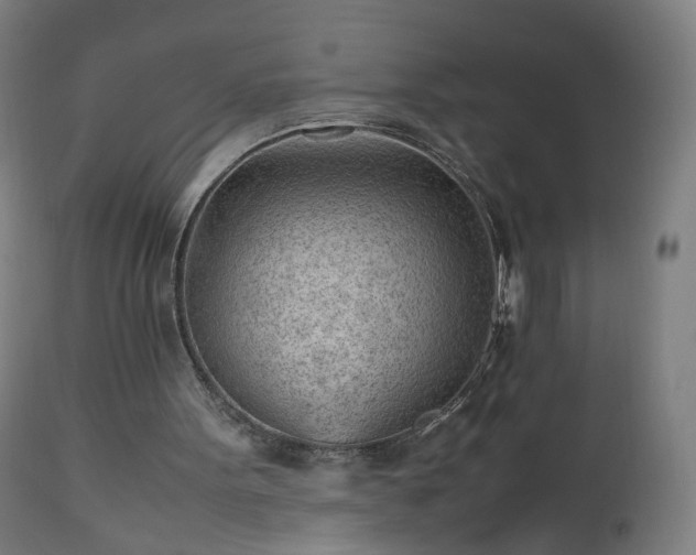 X0000112510099200908241430