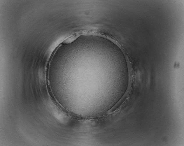 X0000112510100200908241430