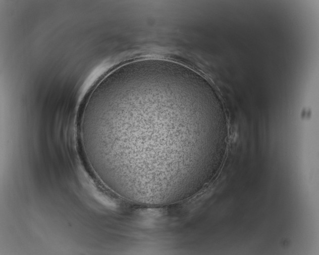 X0000112510102200908241430