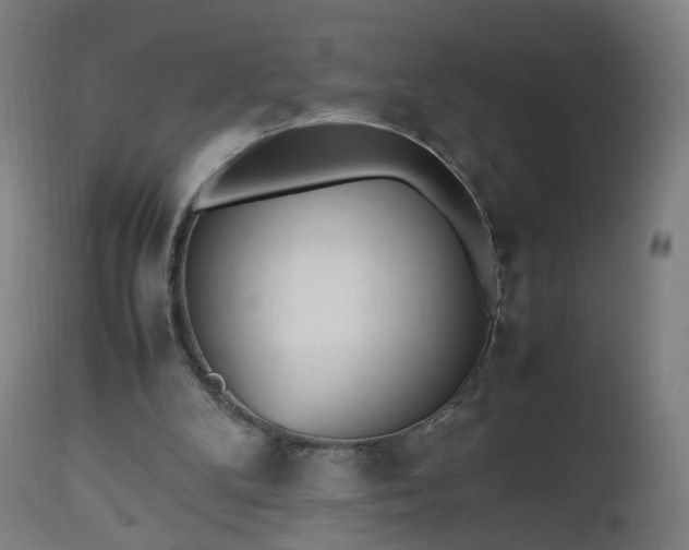 X0000112510104200908241429