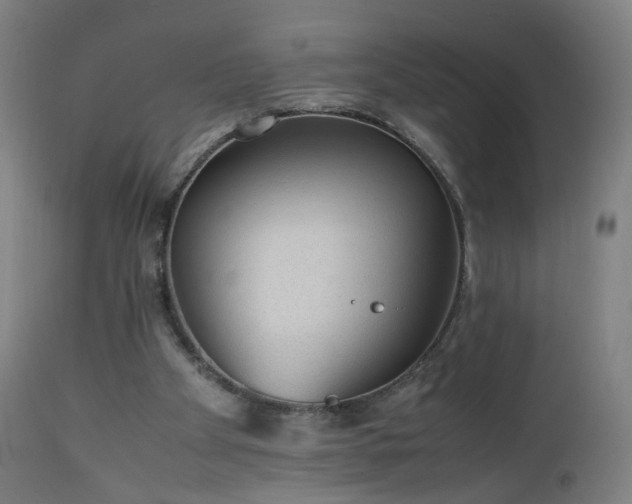 X0000112510105200908241429