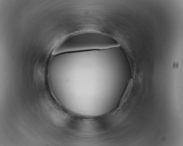 X0000112510108200908241429