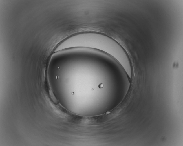 X0000112510109200908241429