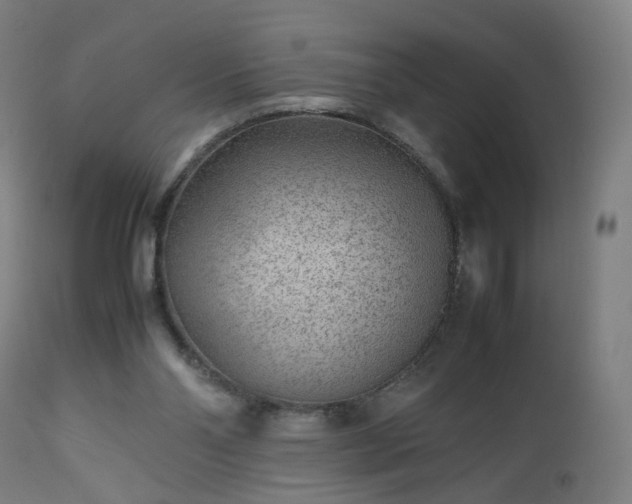 X0000112510110200908241429