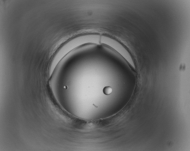 X0000112510111200908241429