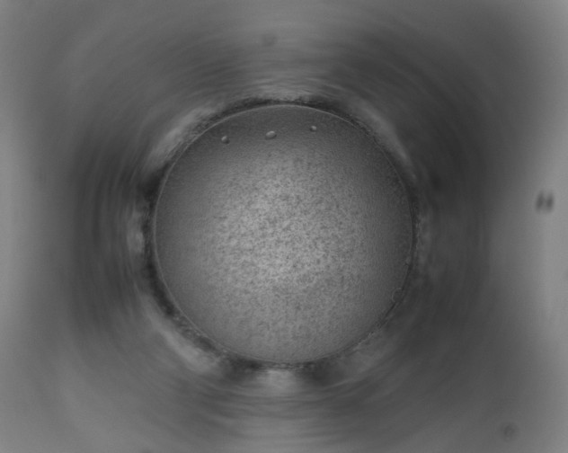 X0000112510114200908241429