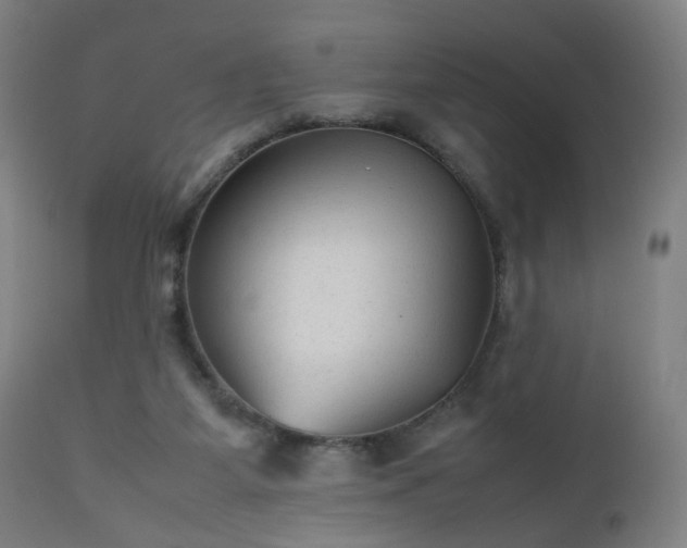 X0000112510115200908241429