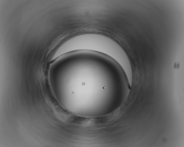 X0000112510116200908241429