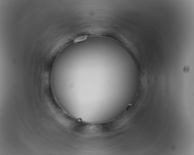 X0000112510117200908241429