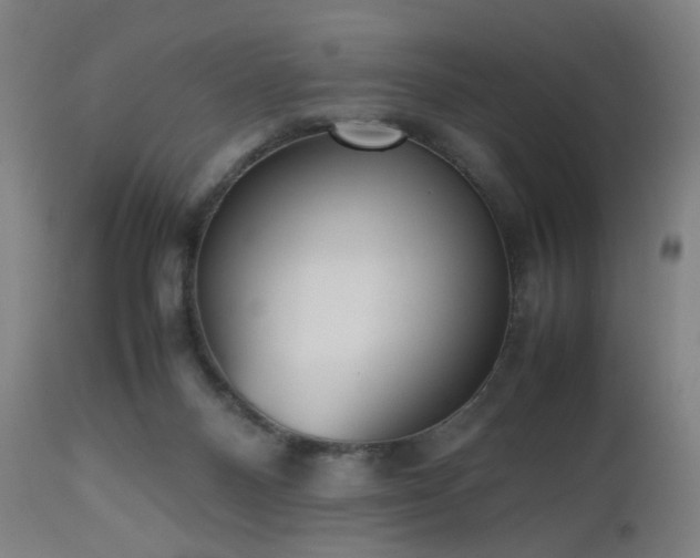 X0000112510120200908241429