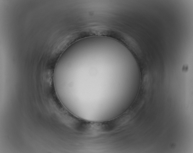 X0000112510121200908241429