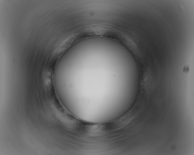 X0000112510122200908241429