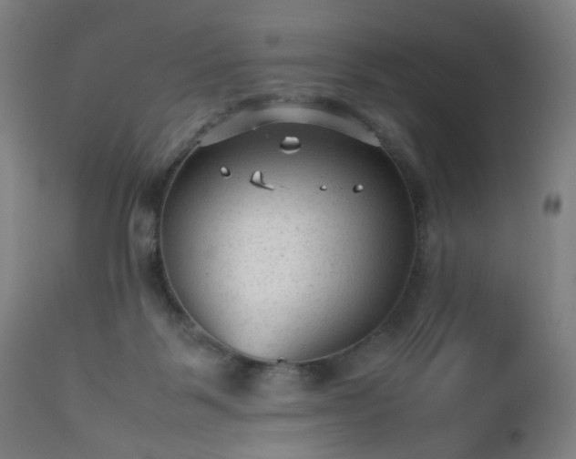 X0000112510123200908241429