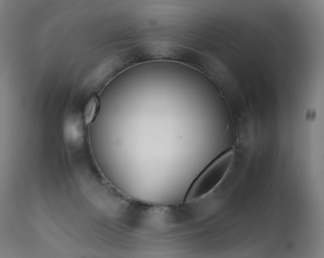 X0000112510124200908241429