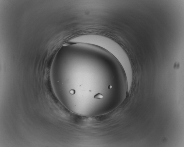 X0000112510125200908241429