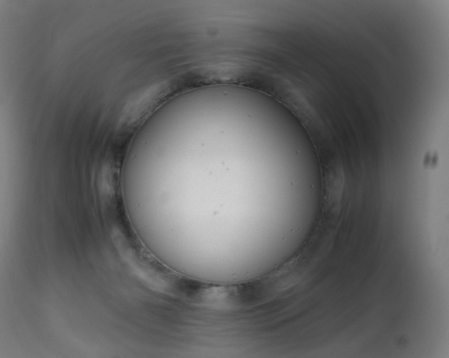 X0000112510126200908241429